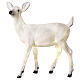 Christmas LED light, fawn standing, 70x55x20 cm, OUTDOOR s2
