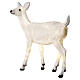 Christmas LED light, fawn standing, 70x55x20 cm, OUTDOOR s5