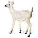 LED Fawn standing Christmas decoration 70x55x20 cm outdoor s6