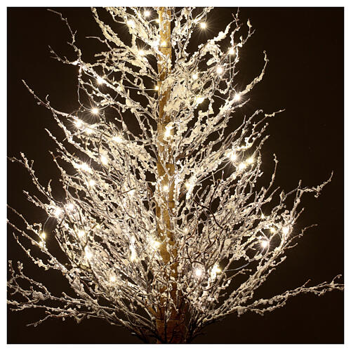 Twig Christmas tree, 150 cm, 70 white LED lights, indoor 2