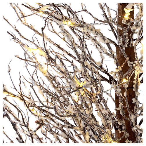 Árbol Twig 150 cm 70 led particulares blancos Navidad interior 4