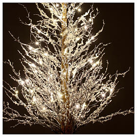 Albero Twig 150 cm 70 led particolari bianchi Natale interno