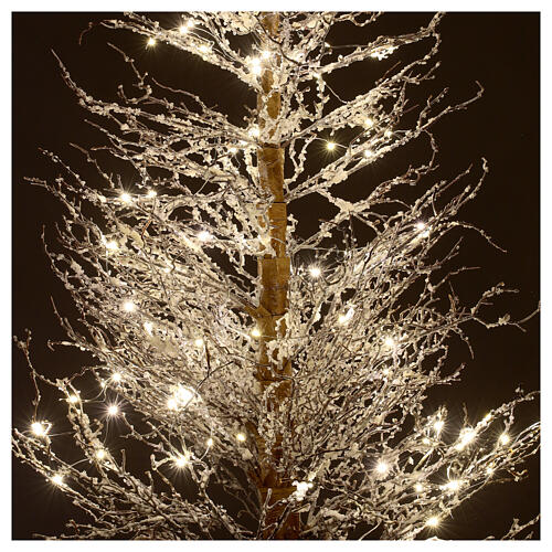 Twig Christmas tree, 180 cm, 100 white LED lights, indoor. 2