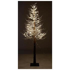 Albero luminoso Faggio con rami a microled luce calda da interno ed  esterno / 180 cm / Nero