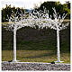 Arch of illuminated trees, 3600 LED lights, 250x300 cm, outdoor decoration s4