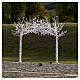 Arch of illuminated trees, 3600 LED lights, 250x300 cm, outdoor decoration s7