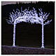 Arch of illuminated trees, 3600 LED lights, 250x300 cm, outdoor decoration s9