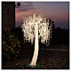 Tree illuminated by warm white LED lights, 240 cm, outdoor s1