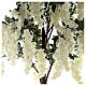White flowering tree illuminated by 96 LEDs for outdoor 200x90x90 cm s6