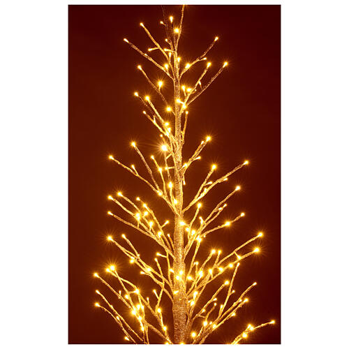 Árbol luminoso H 150 cm 186 LED purpurina champaña interior 2