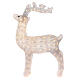 LED reindeer, indoor decoration, 160 warm white lights, h 75 cm s3