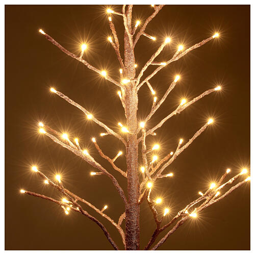 Luminous pink beech tree 90 cm, 78 warm white LED, indoor 2