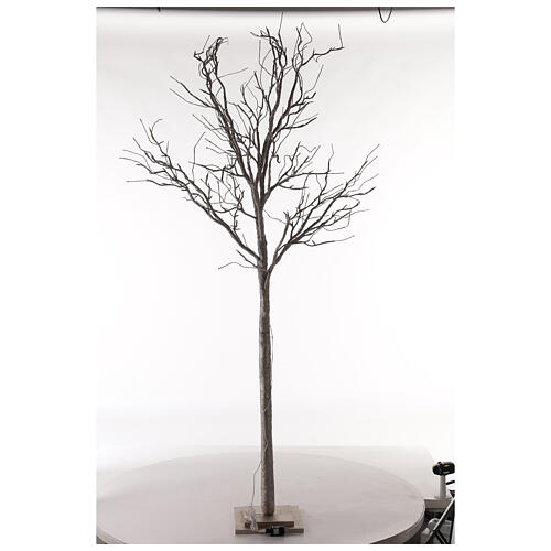 Lighted birch tree 192 LEDs indoor use 210 cm gold glitter 4