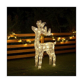 Reindeer with silver wire, 50 nanoLED lights of warm white, indoor, h 60 cm
