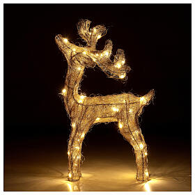 Reindeer with golden wire, 50 nanoLED lights of warm white, indoor, h 60 cm