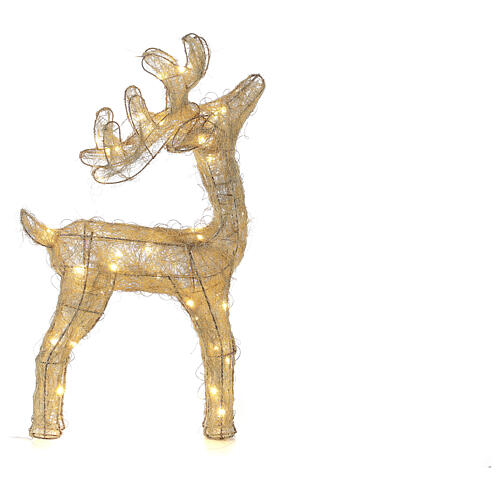 Reindeer with golden wire, 50 nanoLED lights of warm white, indoor, h 60 cm 2