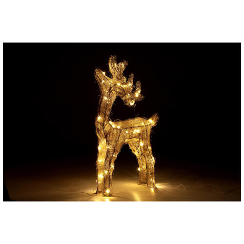 Reindeer with golden wire, 50 nanoLED lights of warm white, indoor, h 60 cm 3