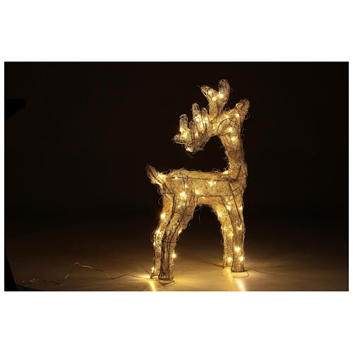 Reindeer with golden wire, 50 nanoLED lights of warm white, indoor, h 60 cm 4