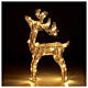 Reindeer with golden wire, 50 nanoLED lights of warm white, indoor, h 60 cm s1