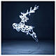Frozen reindeer, jumping, 60 LED lights of cold white, indoor/outdoor, h 60 cm s3
