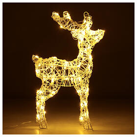 Acrylic reindeer with 80 LED lights, warm white, indoor/outdoor, h 60 cm