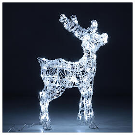 Acrylic reindeer with 80 LED lights, cold white, indoor/outdoor, h 60 cm