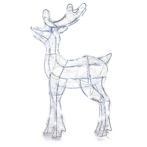 Acrylic reindeer with 80 LED lights, cold white, indoor/outdoor, h 60 cm 3