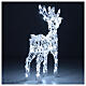 Acrylic reindeer with 80 LED lights, cold white, indoor/outdoor, h 60 cm s5