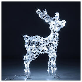 Renna acrilico 80 led bianco freddo int/est h 60 cm