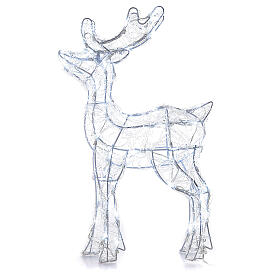 Acrylic reindeer 80 leds cold white indoor/outdoor h 60 cm