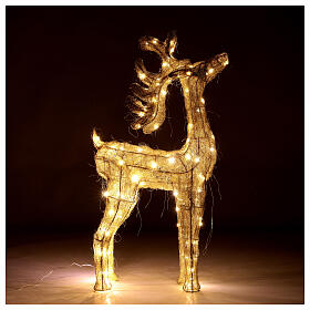 Reindeer with golden wire, 90 warm nanoLED lights, indoor, h 90 cm