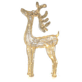 Reindeer with golden wire, 90 warm nanoLED lights, indoor, h 90 cm