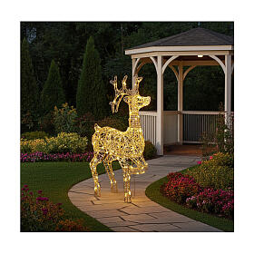 Renne lumineux fil cristal 106 cm avec140 lumières LED blanc chaud intérieur/extérieur