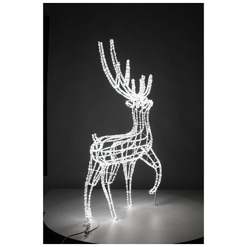 Warm white LED reindeer for indoor/outdoor 60 in 6