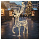 LED Reindeer indoor use cold white 150 cm s2