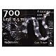 Waterfall 700 maxi drops ice white LED 2.5 m transparent cable light effects and timer s5