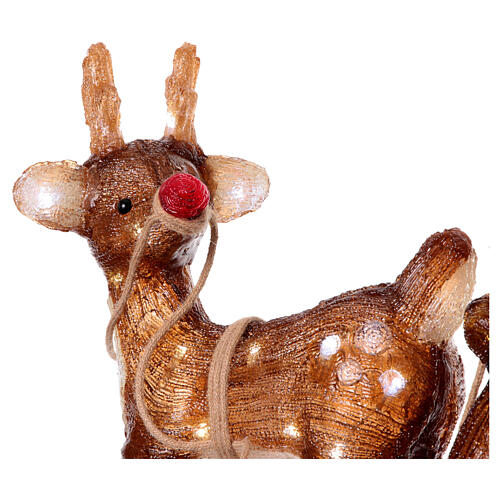 Babbo Natale sulla slitta con renna 90 LED luce fredda acrilico int est 50x85x35 cm 6