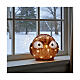 Battery operated acrylic owl with open eyes, 30 cold white LED lights, 8 in, IN/OUTDOOR s2