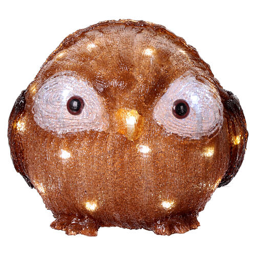 Little owl with open eyes 30 LED cold acrylic battery-operated light 20 cm in diameter 2