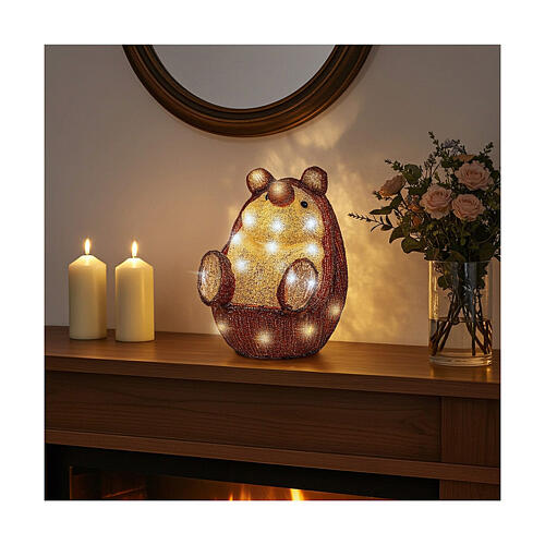 Acrylic hedgehog, 30 white cold LED lights, battery operated, 10 in, IN/OUTDOOR 2