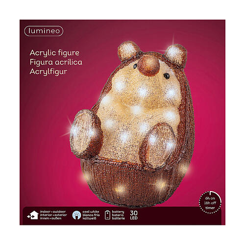 Acrylic hedgehog, 30 white cold LED lights, battery operated, 10 in, IN/OUTDOOR 6