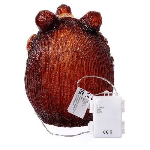 Erizo luminoso luz fría acrílico 24 cm int ext con pilas 7