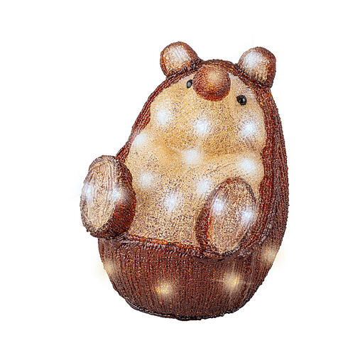 Hérisson lumineux 30 LEDs blanc froid acrylique 24 cm int/ext à piles 3