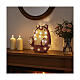 Riccio luminoso 30 LED luce fredda acrilico 24 cm int est a batteria s2