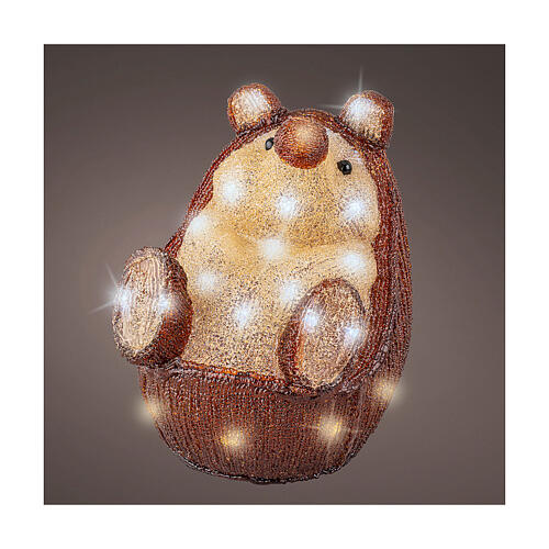 Ouriço luminoso 30 luzes LED branco de pilhas frio acrílico 24 cm int/ext 1