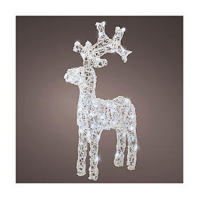 Standing reindeer, 50 flickering cold white LED lights with timer, 25 in, IN/OUTDOOR