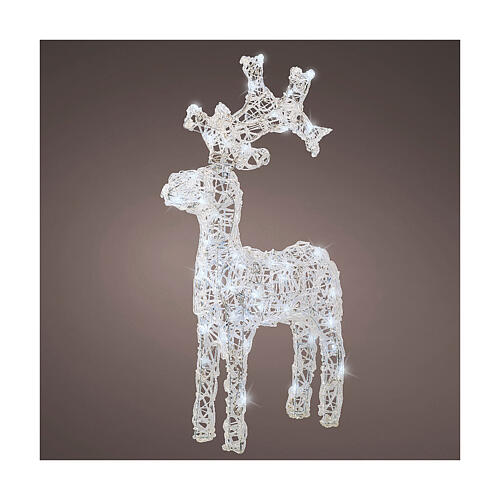 Standing reindeer, 50 flickering cold white LED lights with timer, 25 in, IN/OUTDOOR 1