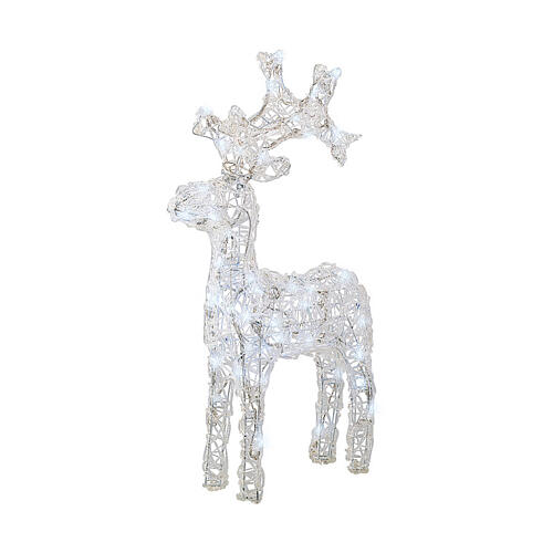 Standing reindeer, 50 flickering cold white LED lights with timer, 25 in, IN/OUTDOOR 2
