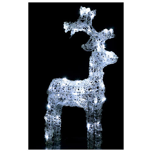 Standing reindeer, 50 flickering cold white LED lights with timer, 25 in, IN/OUTDOOR 4