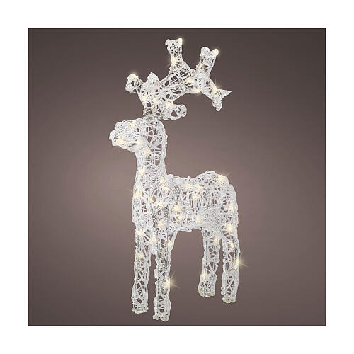 Santa Claus' reindeer, 50 flashing warm white LED lights with timer, 25 in, IN/OUTDOOR 1